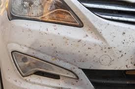 Décontamination carrosserie