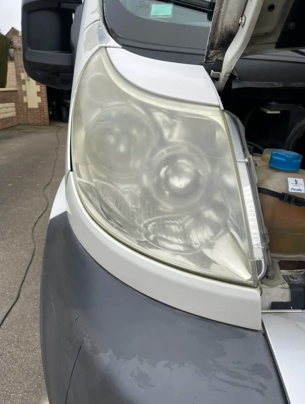 Pollen de bouleau et voiture à Lille : la plaine flamande amplifie le dépôt sur votre carrosserie
